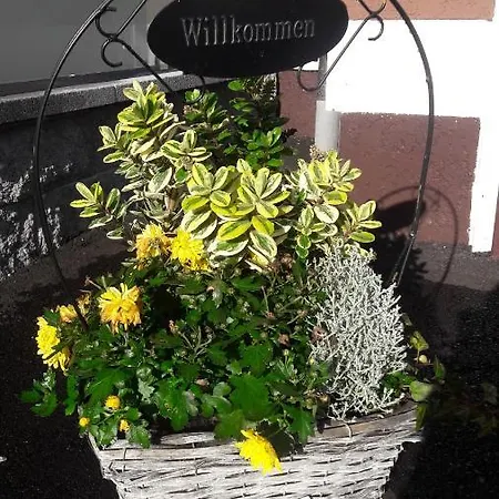 Apartament Gerlach *