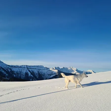 Gerlach ヒンターゼー