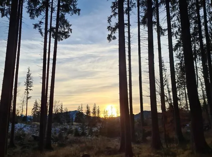 Gerlach アパート