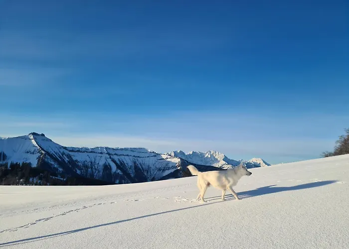 Gerlach ヒンターゼー